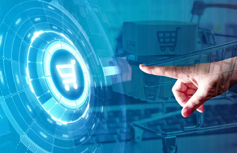 online-store-11-768 | בניית אתר חנות | מומחה וורדפרס | בניית אתר מכירות | בניית אתרים | מעצב אתרים | בונה אתרי וורדפרס