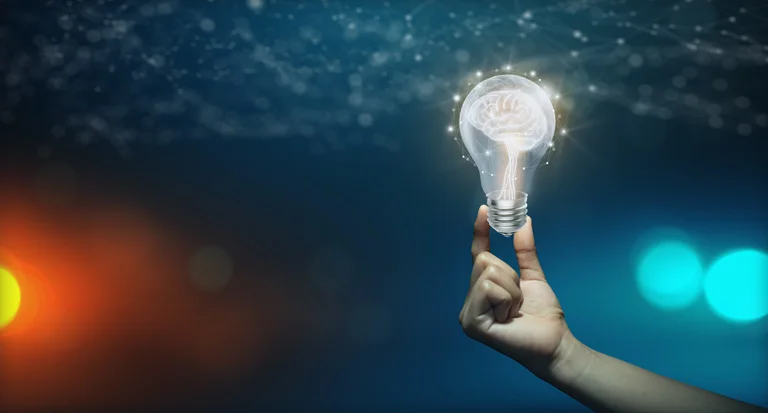 websi7e4-768 | מומחה וורדפרס